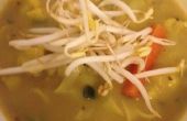 Genügsam Essen: Vegane Kokos Curry Suppe