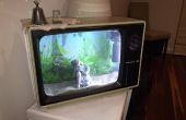 TV Fish Tank / Aquarium