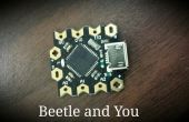Käfer: Minimieren Sie Ihre Arduino Projekte