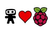 Raspberry Pi Dieb Detektor