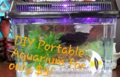 $5 DIY Portable Aquarium