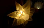 Wie erstelle ich eine Lily geformte Lampe (Norm 06)
