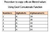 Verfahren zum Kopieren von Zellen auf gefilterte Werte über Excel verketten-Funktion
