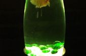 Einfache LED beleuchtet Fish Bowl
