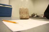 Teil B: Machen ein Pilz-Protokoll, Übertragung von Myzel auf Getreide