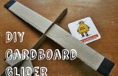 DIY-Karton Glider