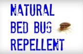 Natürlichen Bett Insektenspray