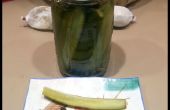 Einfach Gurken mit einem Pickle-Rohr