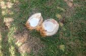 Öffnen Sie eine Kokosnuss von hand ohne ein Machette