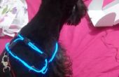 Fluoreszierende Hundehalsband (TRONS Hund)