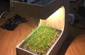 Desktop, Gartenarbeit, Plantbot Alpha