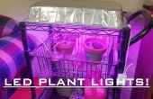 LED Grow Licht für Zimmerpflanzen für $30! Einfach! 