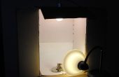 Bauen einen super günstigen Leuchtkasten für Makro-Fotografie. 