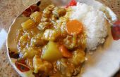Wie man japanische Curry - den einfachen Weg! 