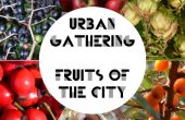 Städtische Sammlung - Früchte der Stadt