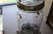 Sugar Coated Honigbienen - oder - wie für die Varroa-Milbe zu testen