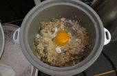 Eine Mahlzeit aus einem Reiskocher