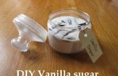 DIY-Vanille-Zucker