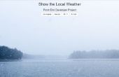 Öffnen Sie Wetter API - zeigen das lokale Wetter-Projekt