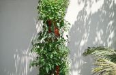 DIY organische vertikale Pflanzer
