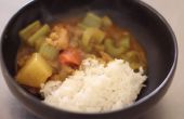 Japanisch Curry Huhn