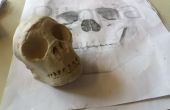 Einfach Ton modellieren - Hidden Treasure Pirate Skull