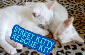 Straße Kitty Rescue Kit