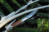 Dschungel überleben - Essen - Palm Kohl (mit nur einem Taschenmesser)