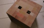 Minecraft Steve Kopf Karton