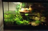 Viviarum Fauna Anlage Tank