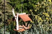 Cedar Schindeln Vogelhaus zurückgefordert