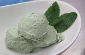 Gesunden Mint Chip Ice Cream (Vegan)
