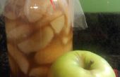 Apfelkuchen Füllung (canning Rezept)