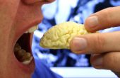 Essbare Schokolade Gehirn von MRT-Scan