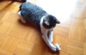 Bindfäden Katzenspielzeug