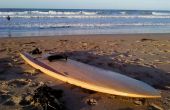 Zurückgefordert Holz hohlen Holz Surfboard - 9'2