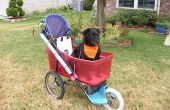Super Hund Kinderwagen gemacht aus einem gebrauchten Jogger