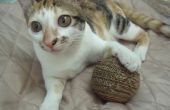 DIY Eco freundliche Karton Ball für Katze
