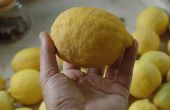 Einfach lecker Lemon Curd