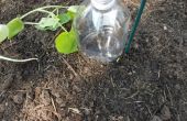 DIY Drip Bewässerung Flaschen