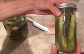 Wie man leicht fermentierte Dill Pickles & die Vorteile der