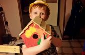 Bauen und malen ein Vogelhaus