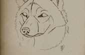Anleitungen zum Zeichnen von Wölfen
