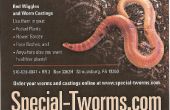 Spezial-tworms.com rote Würmer / Kompostierung Würmer / Angeln Würmer