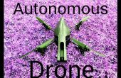Autonome AR Parrot Drone 2.0 fliegen