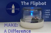 Liter Licht - FlipBot