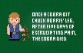 Chuck Norris und einer Kobra - Cross Stitch kostenlose PDF-Muster
