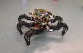 Spider Schwein - autonomen hexapod Roboter