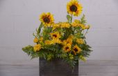 DIY mit Blumen: Floral Schwamm in einer Box