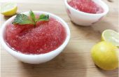 Zitronig Wassermelone Sorbet